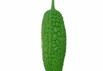 商業(yè)街苦瓜雕塑 售樓處雕塑 蔬菜擺件